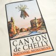 画像4: CANYON de CHERRY プリント キャンバストートバッグ (4)