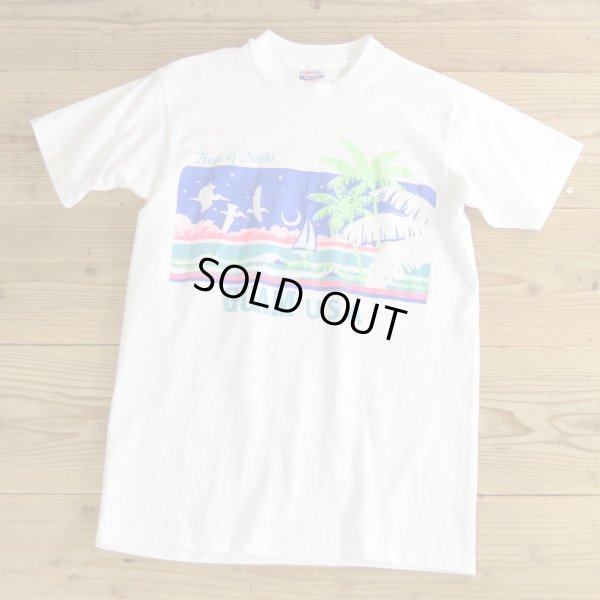 画像1: 80s Hanes Print T-Shirts MADE IN USA 【Medium】