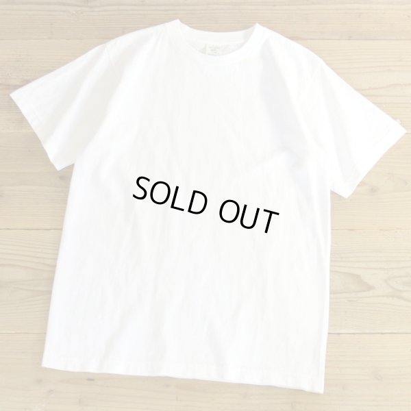 画像1: Patagonia Organic Cotton T-Shirts MADE IN USA 【Small】