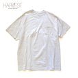 画像1: Hanes Big Pocket T-shirts (1)