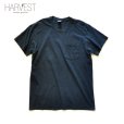 画像1: FRUIT OF THE LOOM Plain Pocket T-shirts (1)