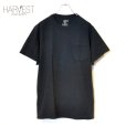 画像1: FRUIT OF THE LOOM Plain Pocket T-shirts (1)