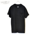 画像1: FRUIT OF THE LOOM Plain Pocket T-shirts (1)