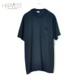 画像1: FRUIT OF THE LOOM Plain Big Pocket T-shirts (1)