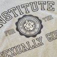画像5: 80s SCREENSTARS Sexually Gifted Old T-shirts (5)