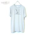 画像1: American Apparel Print T-shirts (1)
