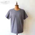 画像1: Green Brand Recycled ネップTシャツ 【Sサイズ】 【SALE】 (1)