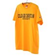 画像1: Champion チャンピオン カレッジTシャツ 【Mサイズ】 (1)