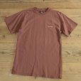 画像1: Patagonia Organic Cotton T-Shirts (1)