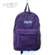画像1: JANSPORT Day-Pack (1)