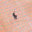 画像5: Ralph Lauren Half Check B.D Shirts (5)