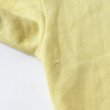 画像4: 60s Champion Vintage Half Sweat (4)