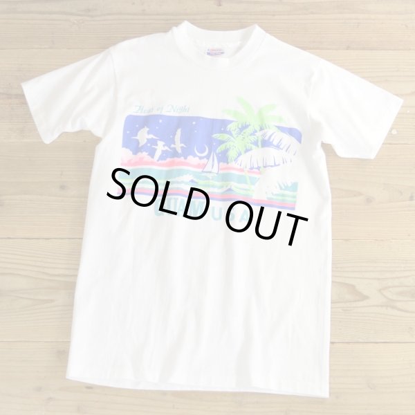 画像1: 80s Hanes Print T-Shirts MADE IN USA 【Medium】 (1)