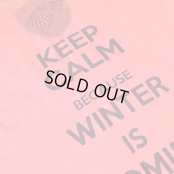 画像5: American Apparel Print T-shirts (5)