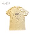 画像1: 80s Hanes Vintage Old T-shirts (1)