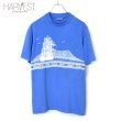 画像1: 80s Hanes Old Surf T-shirts (1)