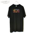 画像1: The Core Muse Rock T-shirts (1)