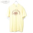画像1: Hanes Print T-shirts (1)