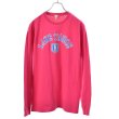 画像1: DELTA プリント ロングTシャツ 【Mサイズ】 (1)