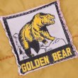 画像5: GOLDEN BEAR ゴールデンベア ダウンベスト 【約 Sサイズ】 (5)